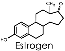 Uticaj hormona na telesnu težinu – Estrogen